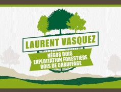 Laurent Vasquez Bois